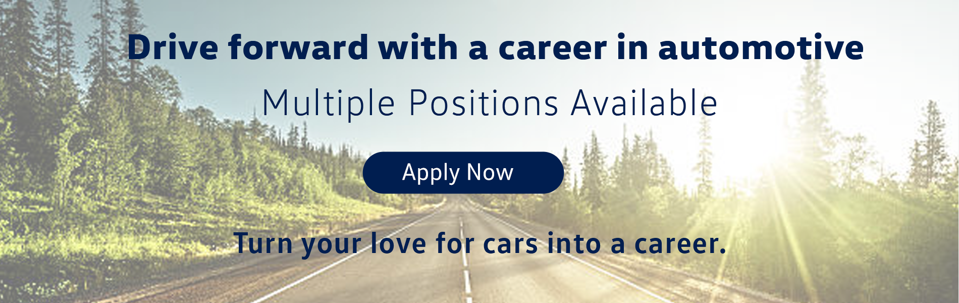 Careers- Apply Now